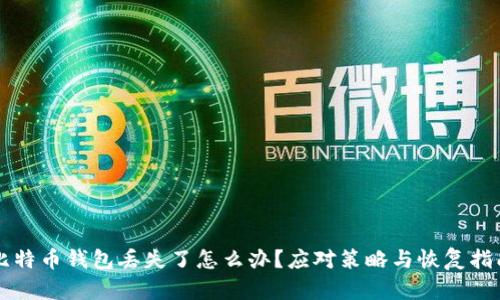 比特币钱包丢失了怎么办？应对策略与恢复指南